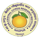 ICAR-CCRI Logo