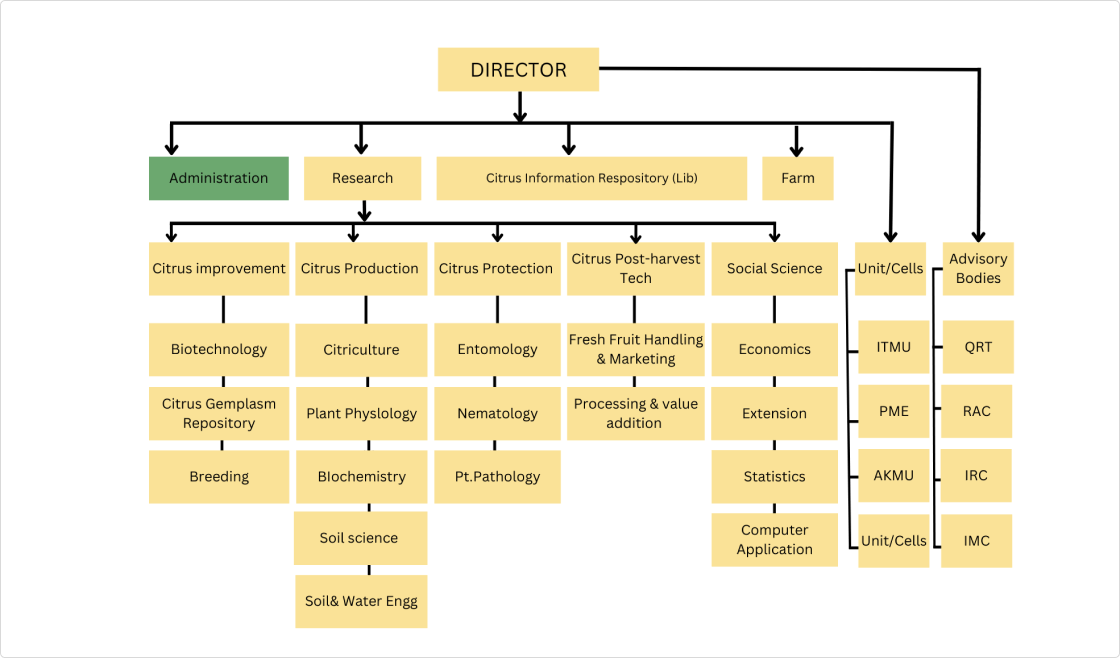 organogram_image